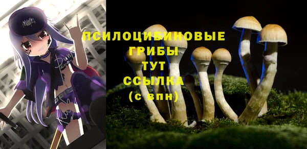 соль ск Абаза