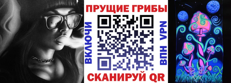 где найти наркотики  Новотроицк  Псилоцибиновые грибы Magic Shrooms 