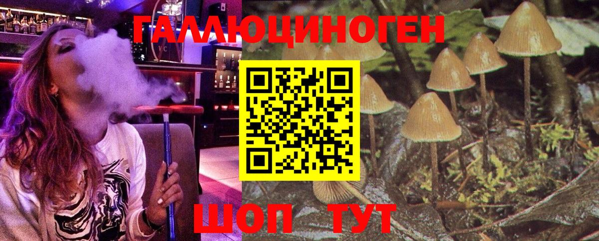 Псилоцибиновые грибы Cubensis Новотроицк