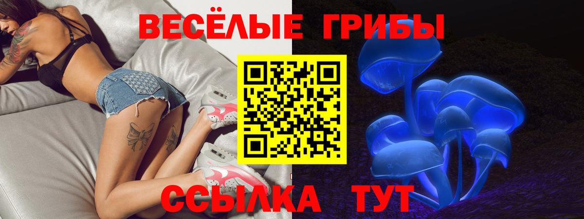 купить наркотик  Псилоцибиновые грибы GOLDEN TEACHER  Псилоцибиновые грибы мицелий  Вход с VPN  Новотроицк 